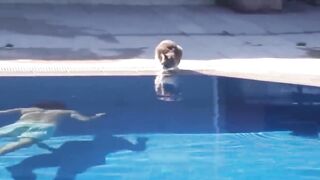 May 23, 2023Funniest Animals 2023 ???? Funniest Cats and Dogs ????????  #Funny cats#dog