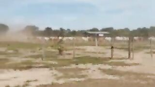 Pantanal