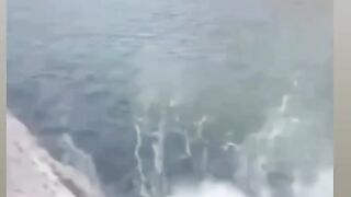Funny video20