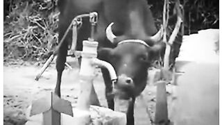 best video 9