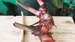 Kasiat Lengkuas