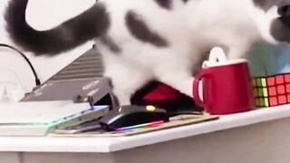 Funny video. 6