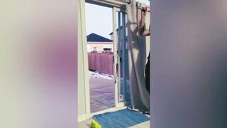 Best funny animals videos 2023,????