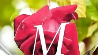 20+ Unique Images for  M ???? R love Letter WhatsApp DPZ| profile Images