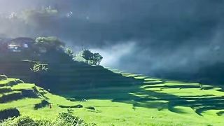 Panorama #2