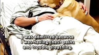 Loyal Dog 2