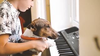 Dog and Boy play a piano