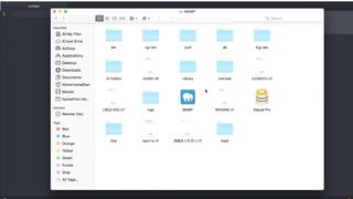 fungsi pertama php echo
