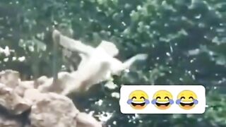 Monkey ???? moods ????