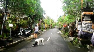 AFTERNOON ATMOSPHERE IN BALI RURAL VILLAGES ACCOMPANIED WITH SPECIAL BALINESE RINDI MUSIC. UBUD PELIATAN VILLAGE