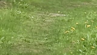 КОТКИ 13