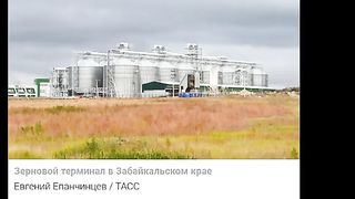 КИТАЙ ОТКАЗА   ДА КУПУВА РУССКА ПШЕНИЦА