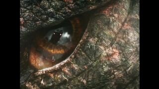 Kong teams up with godzilla to defeat mechagodzilla, double whammy moment.