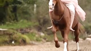 SHANDAR HORSE RIDING.