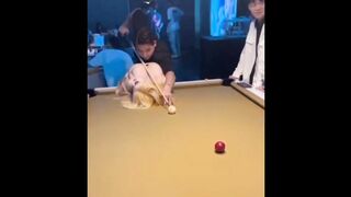 Failed Poke Ball