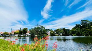Healing Music to Relieve Stress,Soothing music for nerves healing music for the heart and blood vessels, relaxation,