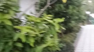 fresh air in the morning at home stay fresh nature.
