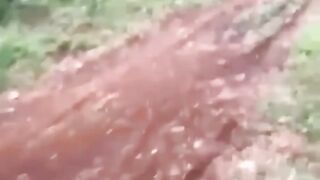 The Video You Must To Watch It Today #3