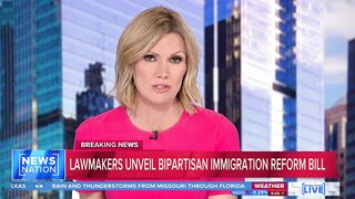 New bipartisan bill gives legal status to immigrants in US