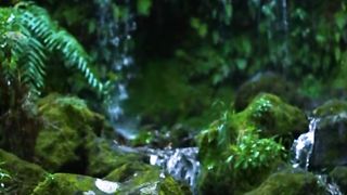 Relax water
