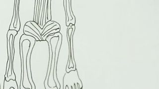Cara Menggambar 2 Monster Siren Head
