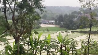Suasana di pedesaan setelah hujan di sore hari