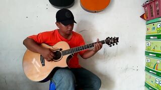 Lily - Alan Walker (fingerstyle cover)