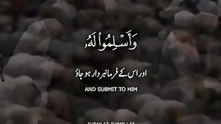 اللہ پاک کا شکر ادا کریں
