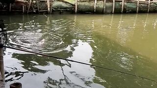 Asal mancing aja