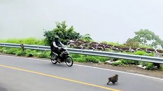 the beautiful scenery that nature gives   Terjemahan langsung