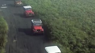 Viral bromo