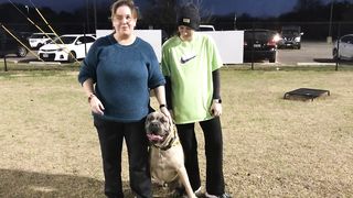 Cane Corso "Bubba" | Owner Testimony | Top Dog Trainer San Antonio