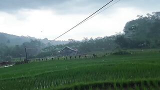 Relaxing rain video in Indonesian village__very beautiful village and comfortable