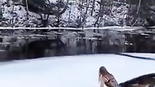 pushing the ice floe????льдина сдалась????#shorts.