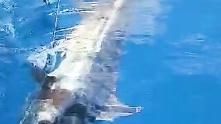 Mancing Ikan Marlin di Laut.