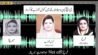 Pakistan tehreek insaf ki khawateen karkun ki audio manzre aam pr aa gai | Public News