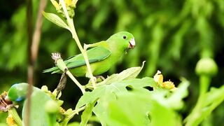 Beautiful_Nature❤️