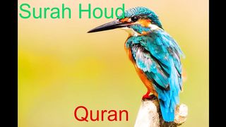 Surah Houd by qari yousuf akbar Quran Recitation