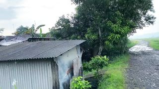 Rain in Indonesian countryside__Feels cool and comfortable__Rain in village