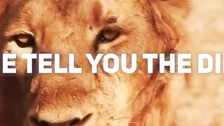 The Surprising Difference between a Gazelle and a Lion: What You Didn't Know!