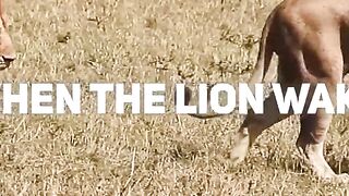 The Surprising Difference Between Gazelles and Lions Revealed!