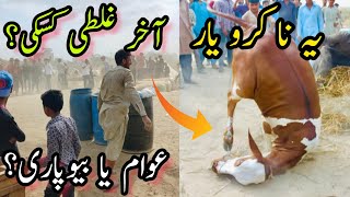 Nothern Bypass Mandi Latest Update | Unloading In Mandi | Cow Mandi 2023