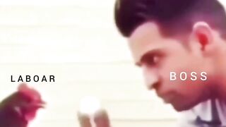 Funny video don't miss end