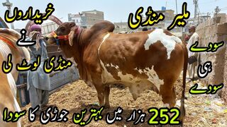Malir Mandi Karachi Cattle Rates Update | 23 May 2023 | Cow Mandi 2023 | Bakra Eid Season 2023