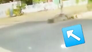 heavy driver with perfect handling