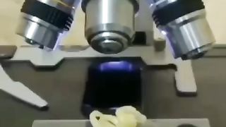 Wait!