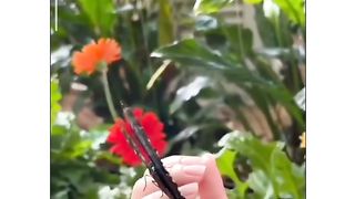 Butterfly ???? Must Watch