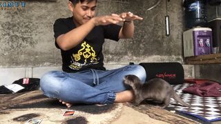 Playing with baby otters