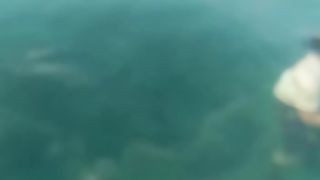 Sagori Island Segi Tiga bermuda