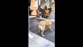 Si tu rigoles 1,5 fois, tu recommences la vidéo 7